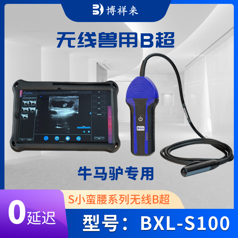 獸用無(wú)線(xiàn)B超測孕儀BXL-S100